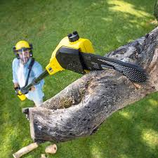 Best Lawn Disease Treatment  in Atwater, CA