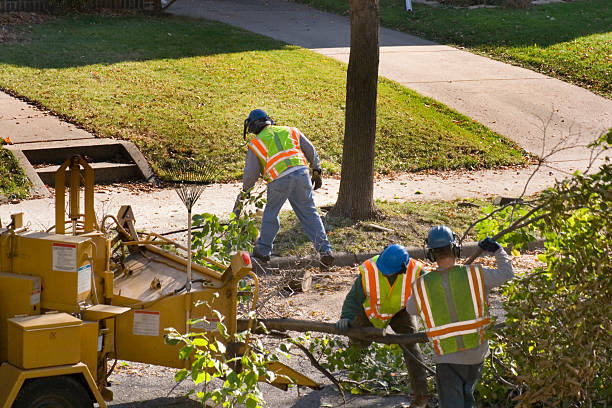 Best Tree Preservation Services  in Atwater, CA